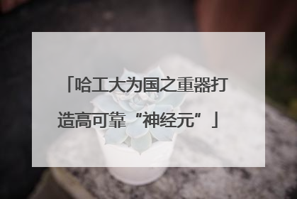 哈工大为国之重器打造高可靠“神经元”
