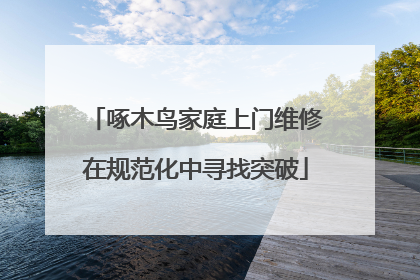 啄木鸟家庭上门维修在规范化中寻找突破