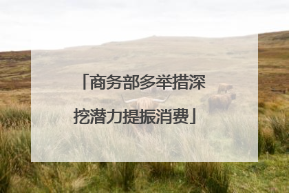 商务部多举措深挖潜力提振消费