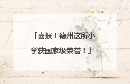 喜报！德州这所小学获国家级荣誉！