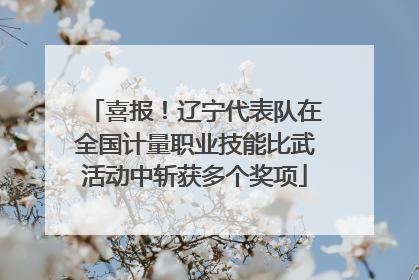 喜报！辽宁代表队在全国计量职业技能比武活动中斩获多个奖项
