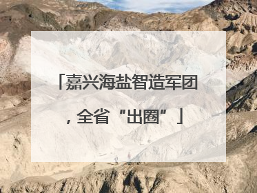 嘉兴海盐智造军团，全省“出圈”