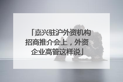 嘉兴驻沪外资机构招商推介会上，外资企业高管这样说