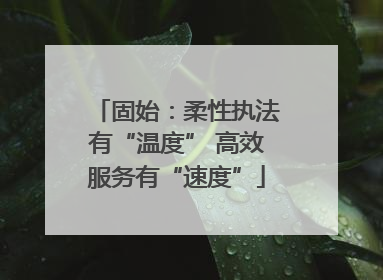 固始：柔性执法有“温度” 高效服务有“速度”