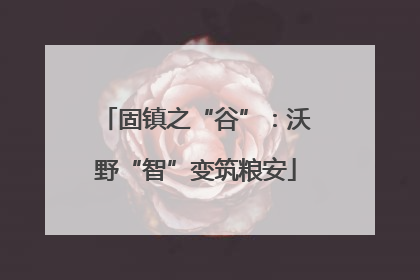 固镇之“谷”：沃野“智”变筑粮安