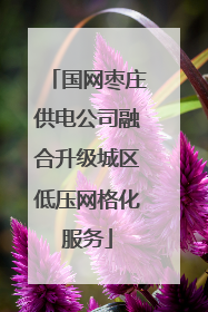 国网枣庄供电公司融合升级城区低压网格化服务