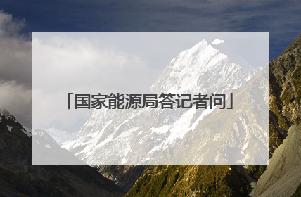 国家能源局答记者问