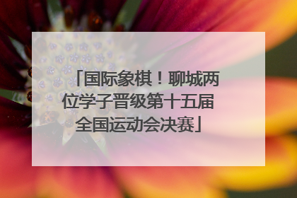 国际象棋！聊城两位学子晋级第十五届全国运动会决赛