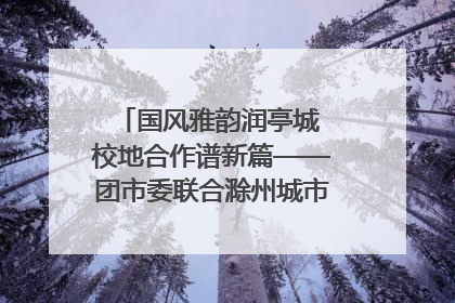 国风雅韵润亭城 校地合作谱新篇——团市委联合滁州城市职业学院助力传统文化“破圈”绽放