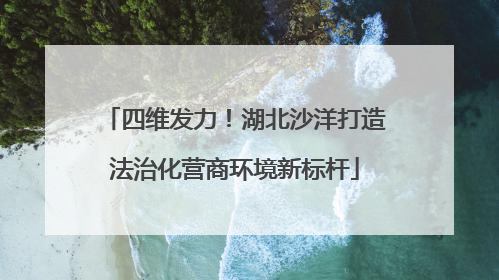 四维发力！湖北沙洋打造法治化营商环境新标杆