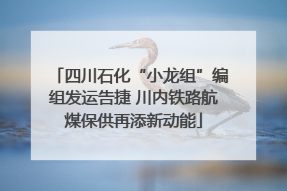 四川石化“小龙组”编组发运告捷 川内铁路航煤保供再添新动能
