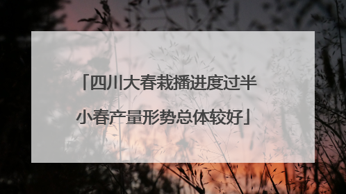 四川大春栽播进度过半 小春产量形势总体较好