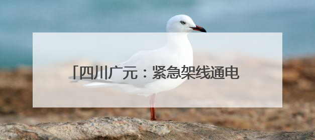 四川广元：紧急架线通电 打通秧田灌溉“生命线”