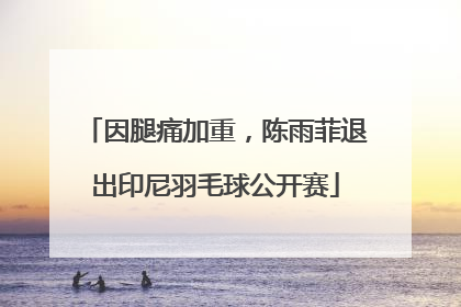 因腿痛加重，陈雨菲退出印尼羽毛球公开赛