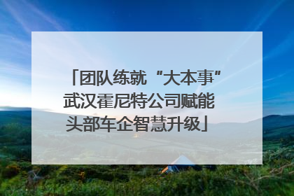 团队练就“大本事” 武汉霍尼特公司赋能头部车企智慧升级