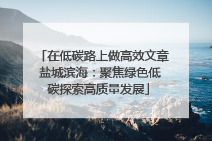 在低碳路上做高效文章 盐城滨海：聚焦绿色低碳探索高质量发展