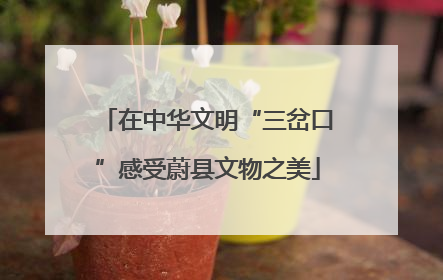 在中华文明“三岔口”感受蔚县文物之美
