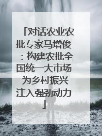 对话农业农批专家马增俊：构建农批全国统一大市场 为乡村振兴注入强劲动力