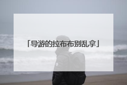导游的拉布布别乱拿