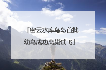 密云水库鸟岛首批幼鸟成功离巢试飞
