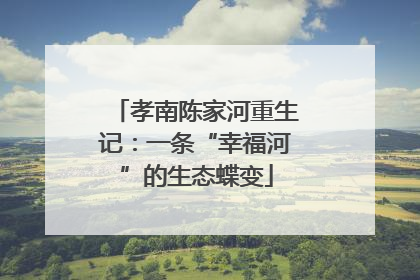 孝南陈家河重生记：一条“幸福河”的生态蝶变