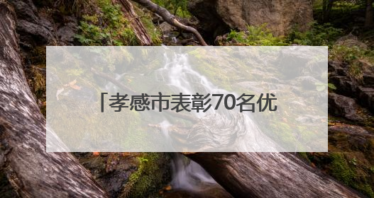 孝感市表彰70名优秀消防志愿者，构建全民消防安全新格局