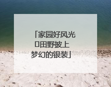 家园好风光 ⎮田野披上梦幻的银装
