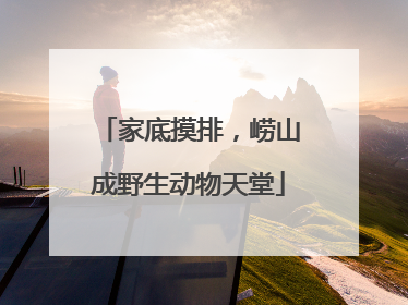 家底摸排，崂山成野生动物天堂