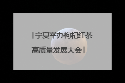 宁夏举办枸杞红茶高质量发展大会