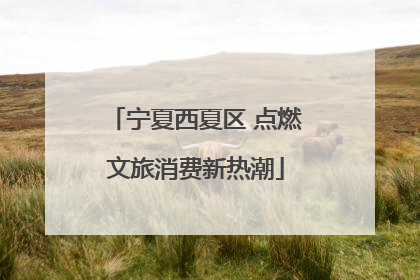 宁夏西夏区 点燃文旅消费新热潮