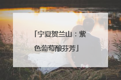 宁夏贺兰山：紫色葡萄酿芬芳