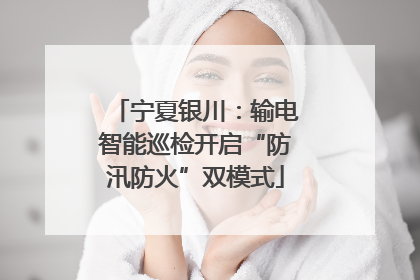宁夏银川：输电智能巡检开启“防汛防火”双模式