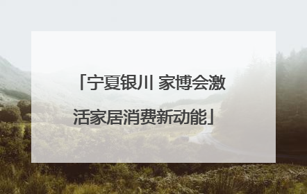 宁夏银川 家博会激活家居消费新动能