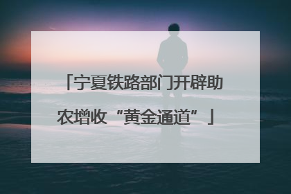 宁夏铁路部门开辟助农增收“黄金通道”