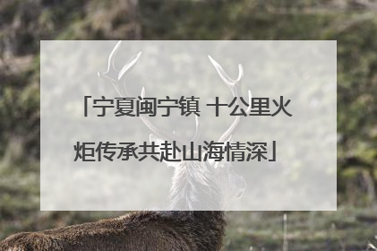 宁夏闽宁镇 十公里火炬传承共赴山海情深