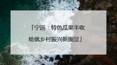 宁远：特色瓜果丰收绘就乡村振兴新图景