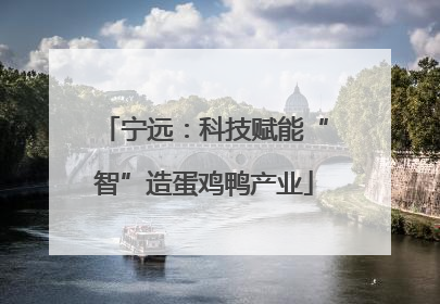 宁远：科技赋能“智”造蛋鸡鸭产业