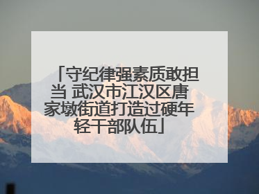 守纪律强素质敢担当 武汉市江汉区唐家墩街道打造过硬年轻干部队伍