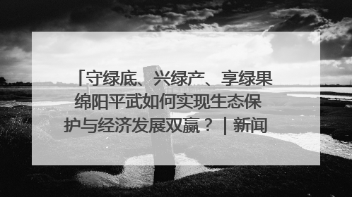 守绿底、兴绿产、享绿果 绵阳平武如何实现生态保护与经济发展双赢？｜新闻发布最前线·深一度