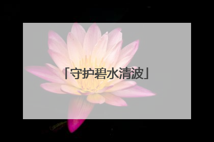 守护碧水清波