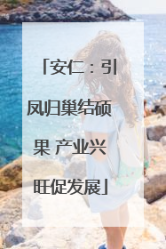 安仁：引凤归巢结硕果 产业兴旺促发展