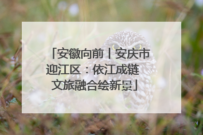 安徽向前丨安庆市迎江区：依江成链 文旅融合绘新景