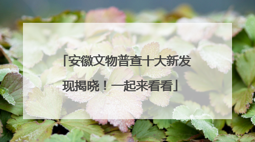 安徽文物普查十大新发现揭晓！一起来看看