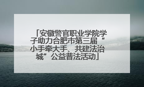 安徽警官职业学院学子助力合肥市第三届“小手牵大手、共建法治城”公益普法活动
