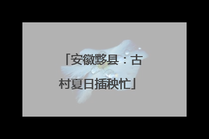 安徽黟县：古村夏日插秧忙