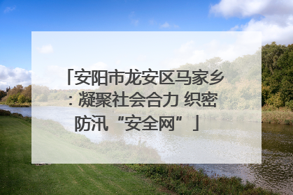 安阳市龙安区马家乡：凝聚社会合力 织密防汛“安全网”