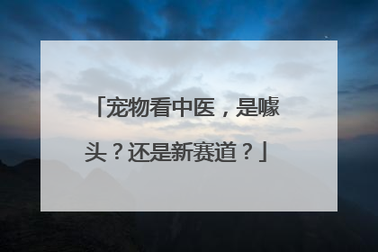 宠物看中医，是噱头？还是新赛道？