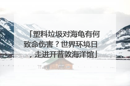 塑料垃圾对海龟有何致命伤害？世界环境日，走进开普敦海洋馆