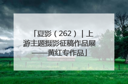 夏影（262）｜上游主题摄影征稿作品展——黄红专作品
