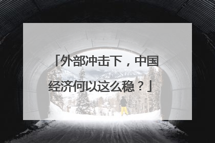 外部冲击下，中国经济何以这么稳？